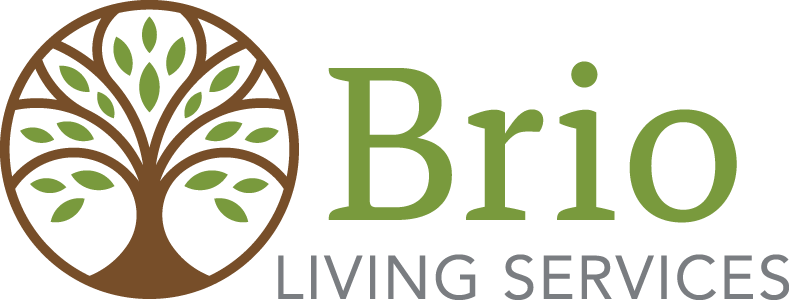 Brio Living Services Logo
